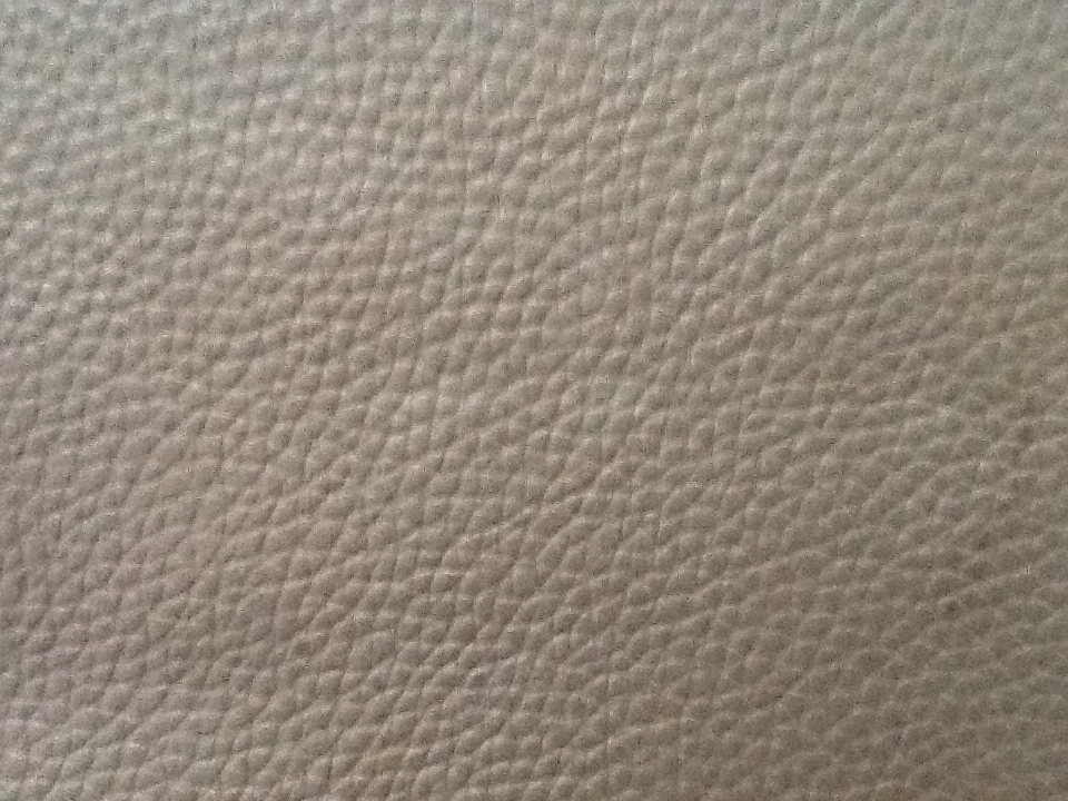Ƥѹ